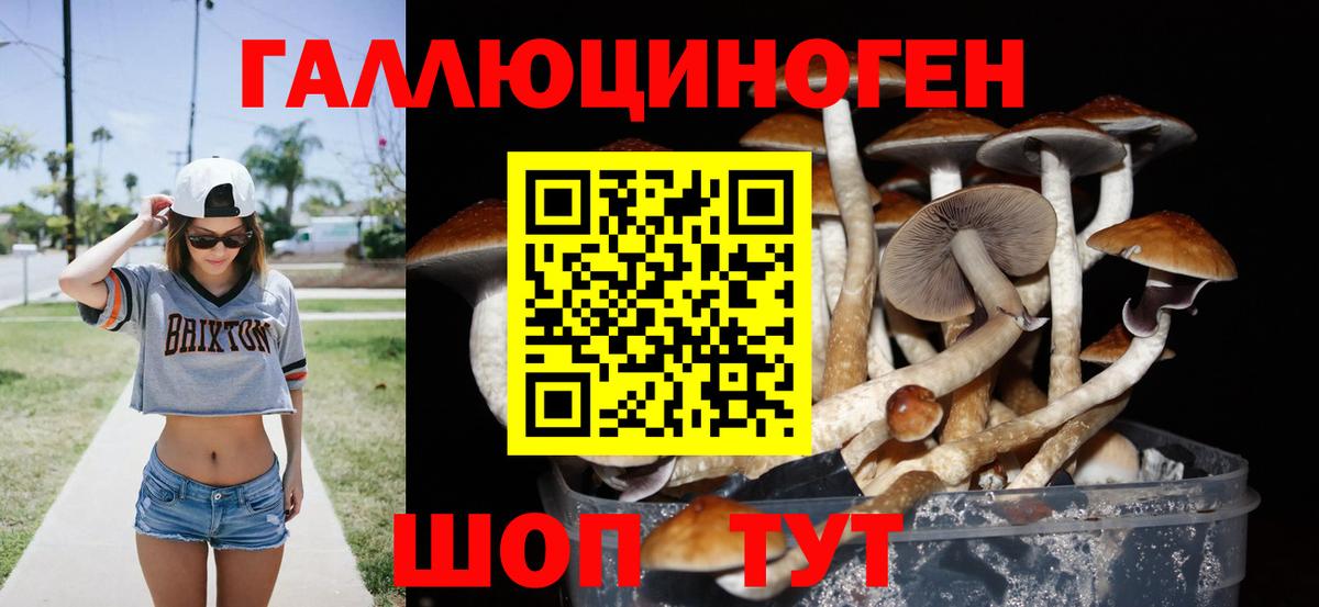 Галлюциногенные грибы прущие грибы  Псилоцибиновые грибы Magic Shrooms  продажа наркотиков  Вход с VPN  Кирово-Чепецк 